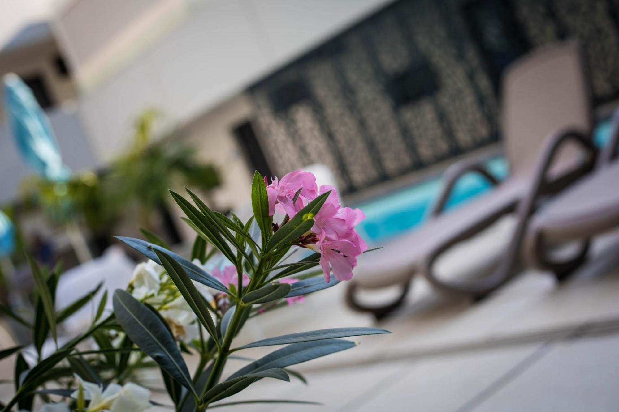 Sunset Resort - Lakeside Apartment Fonyód 外观 照片